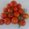 Kratky Bucket First Harvest