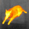 Threshold - Seek Thermal Camera