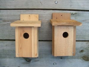 Bird house project prototypes
