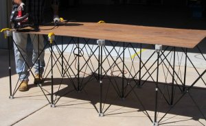 centipede sawhorse