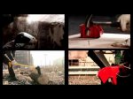 Craftsman Music Experiment - Craftsman Labs