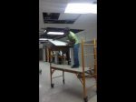 Cutting tile with a scaffold shelf